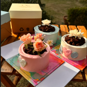 Mother day Bento Cake