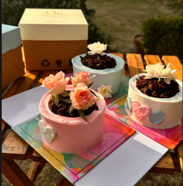 Mother day Bento Cake